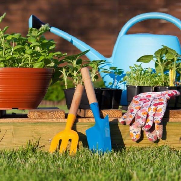 Food Safety for Your In-House Garden