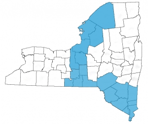 Auburn & So. Tier Map