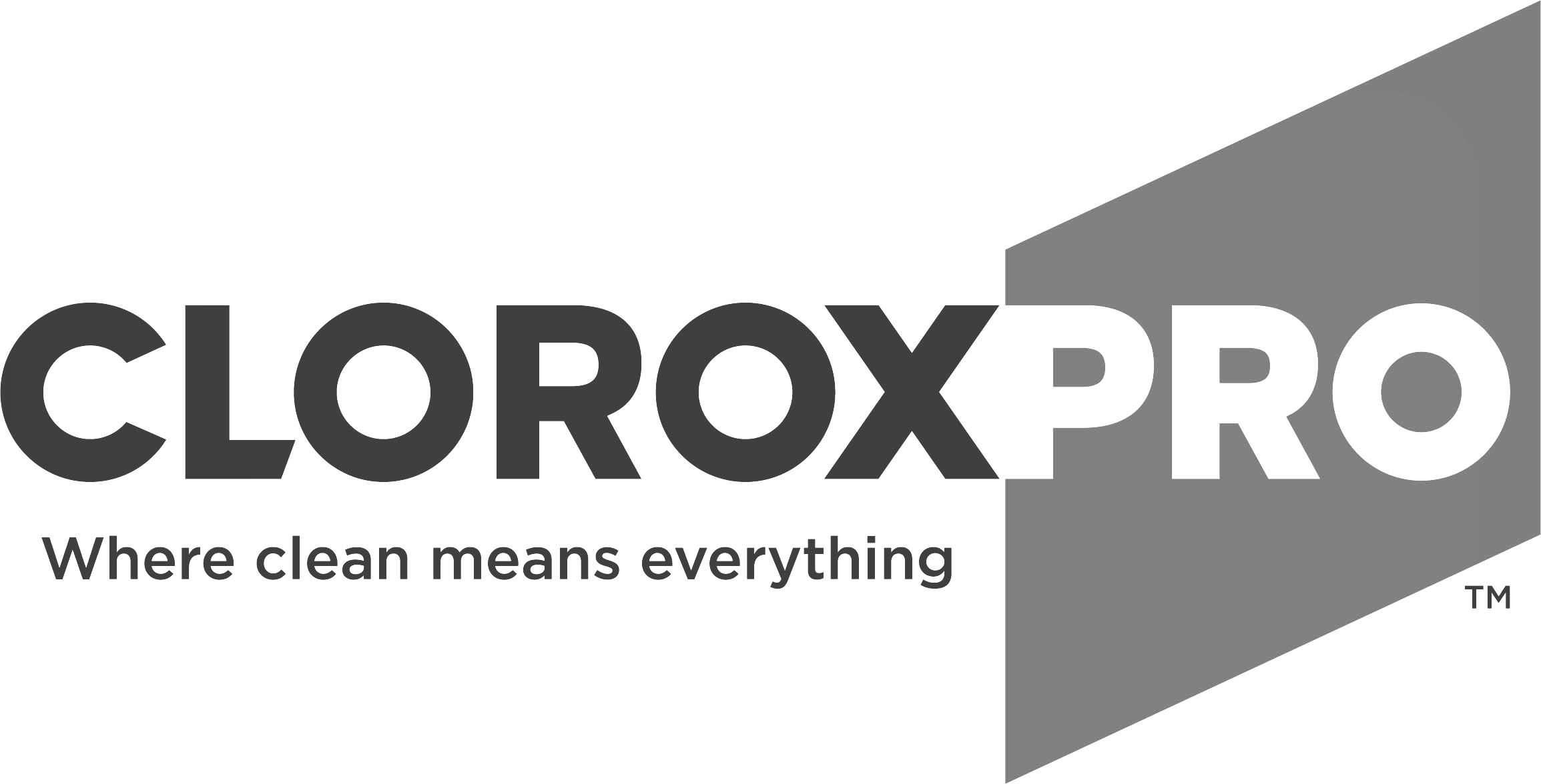 Clorox Pro